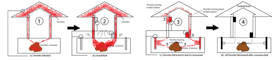 termite baiting system
